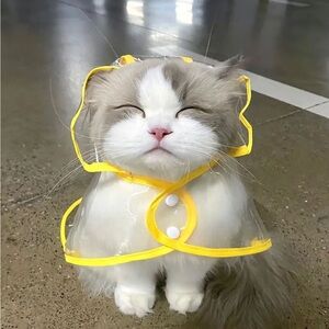 Meet your Posher, Savannah